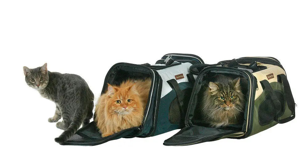 The One Bag Expandable Carrier - Accessories image 10