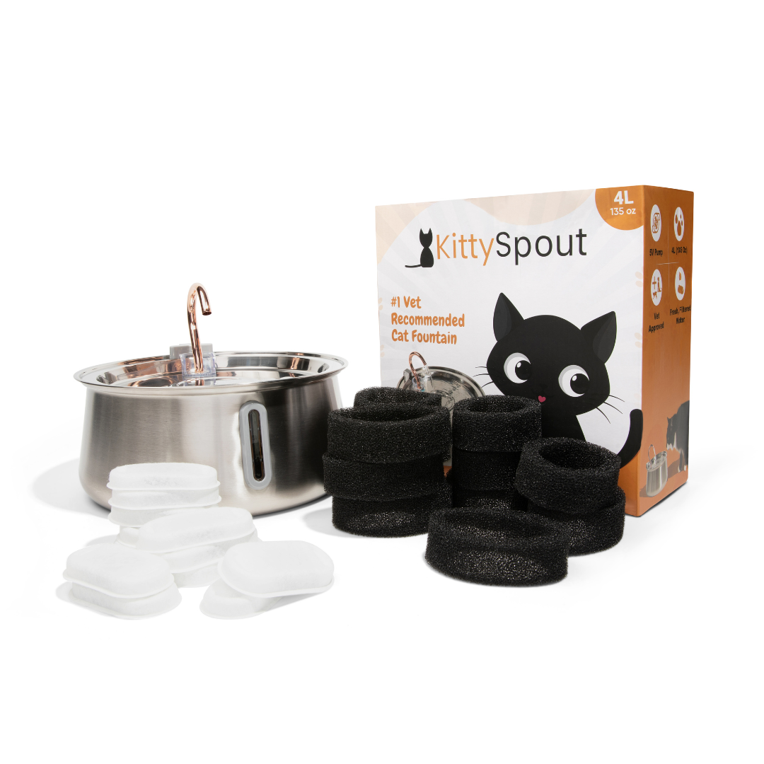 The KittySpout™ 2.0 - Health & Happiness Cat Kit - Kitchen & Dining image 12