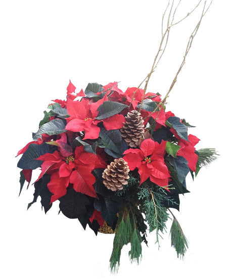 EFX135 Red Poinsettia - Home Decor image 1