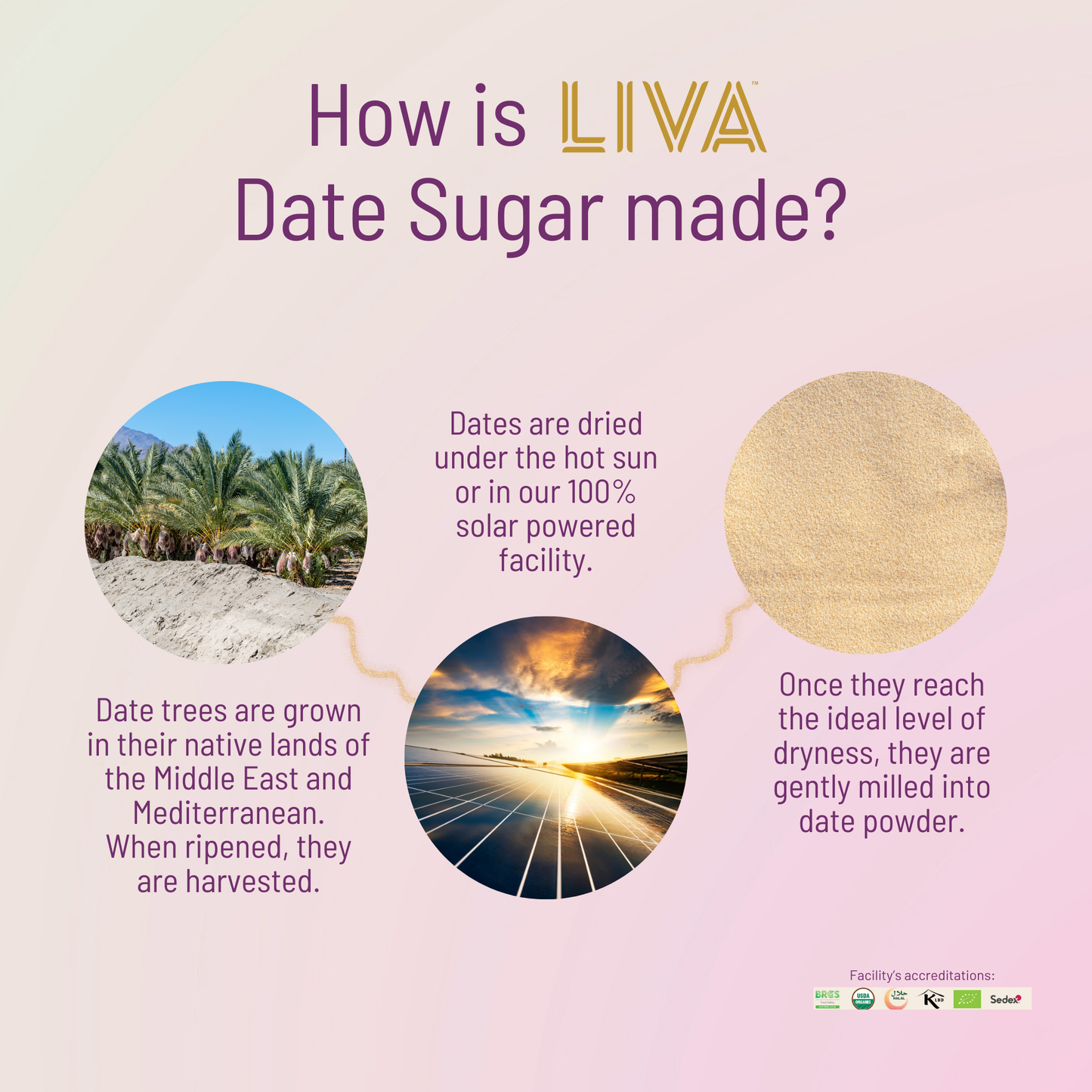 BAKERS BLISS BUNDLE - Kitchen & Dining image 11