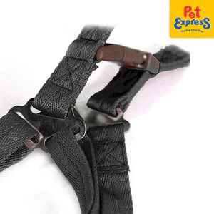 Leash - Misc image 1