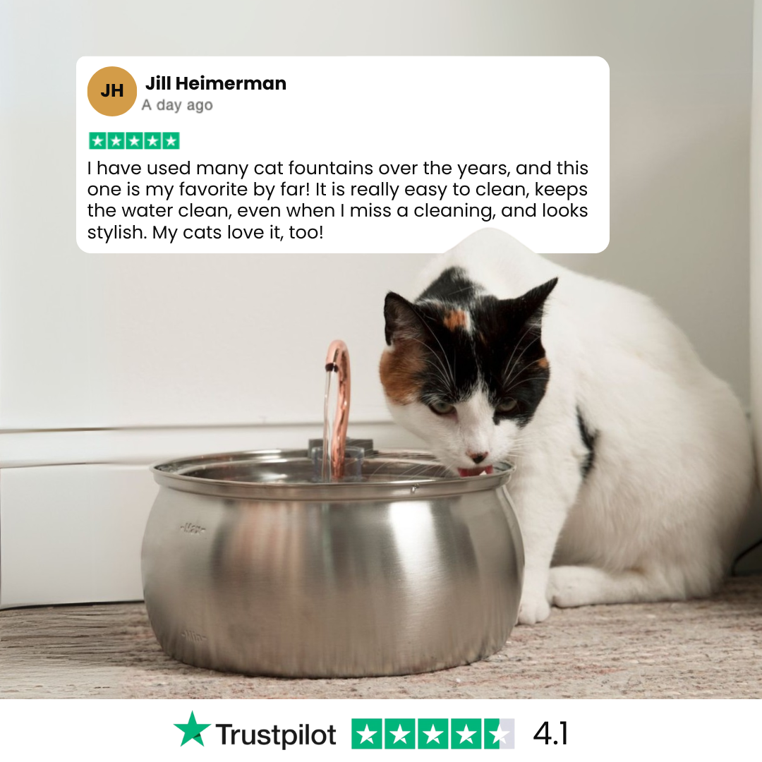 The KittySpout™ - Health & Happiness Cat Kit - Kitchen & Dining image 11