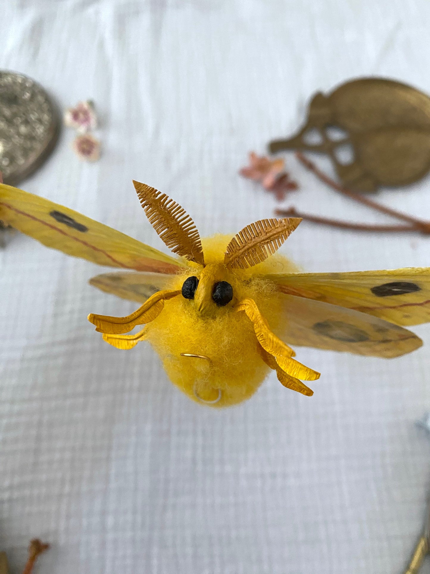 Male Io Moth (Yellow) - Misc image 5