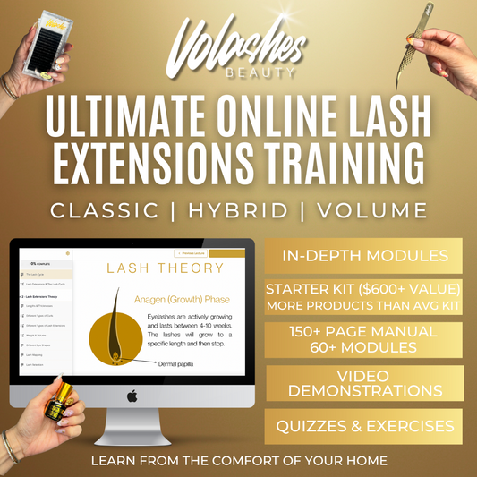 Online Lash Extension Training Course & Kit - Home Decor image 1