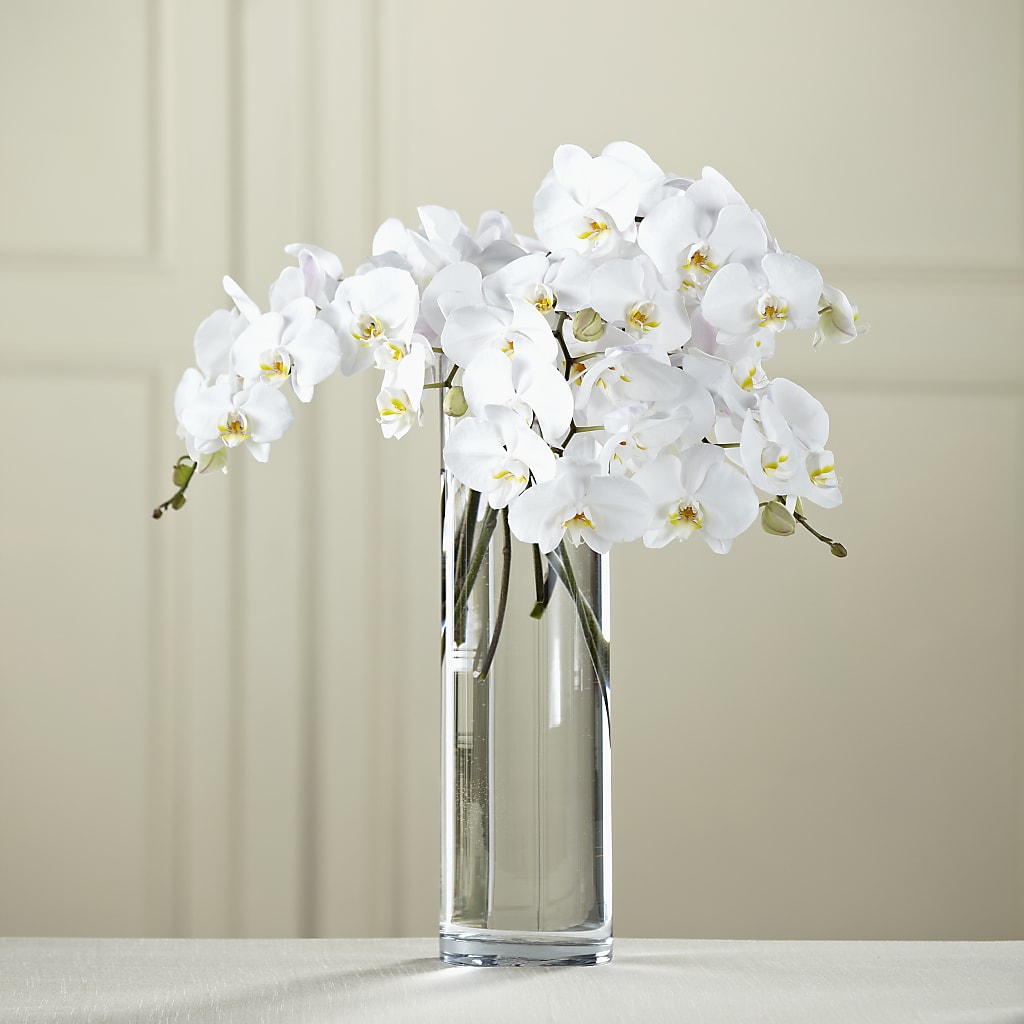 Bouquet de Phalaenopsis blanc - Misc image 1