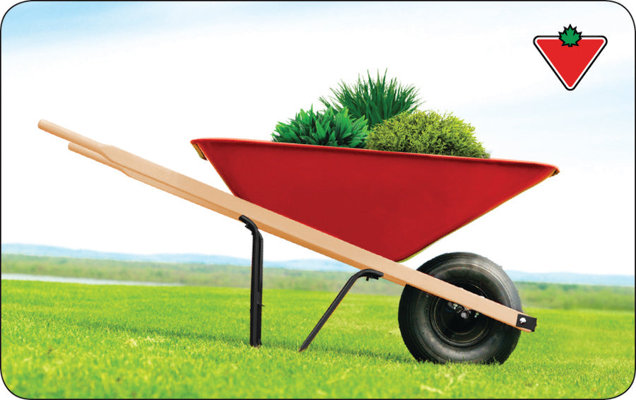 Canadian Tire Gift Card - Seasonal Gifting - Misc image 1