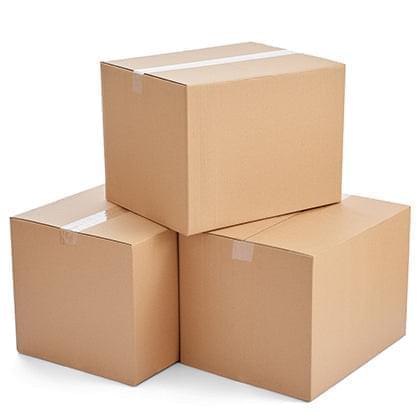 Lid - Massilly - 12pk - Misc image 5