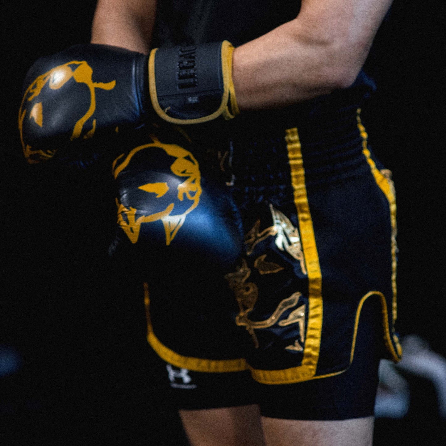 LEGACY THE GOLDEN ERA MUAY THAI SHORTS - Jewelry image 10