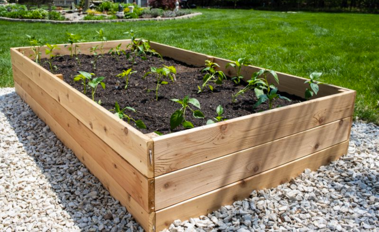4x4 ft Cedar Wood Raised Bed - Kitchen & Dining image 1