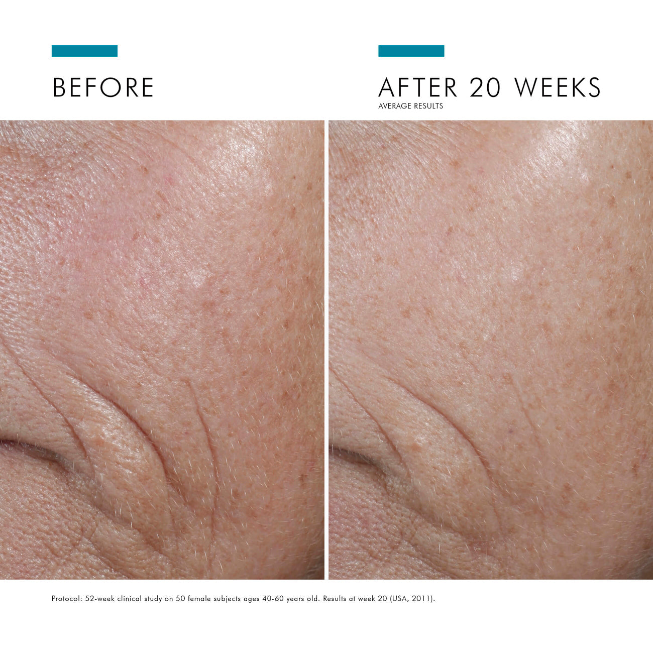 C E Ferulic - Misc image 8