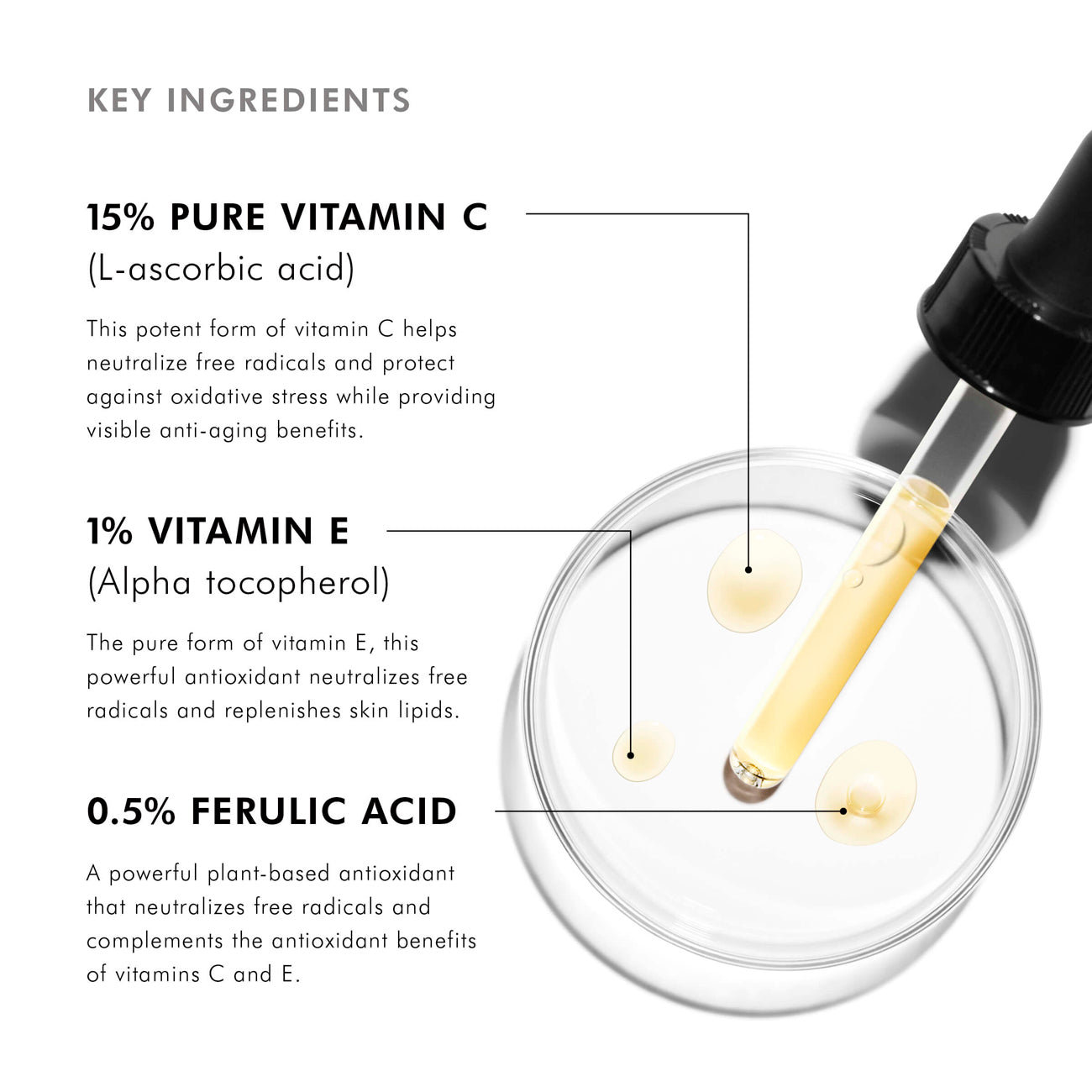 C E Ferulic - Misc image 3