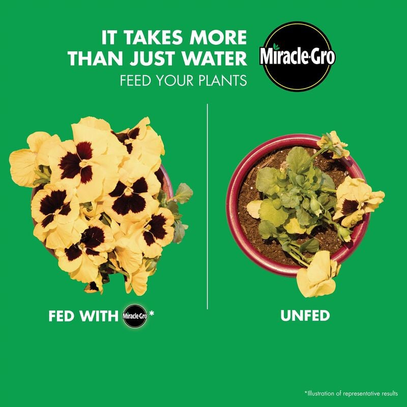 Miracle-Gro® LiquaFeed® All Purpose Plant Food - Misc image 2
