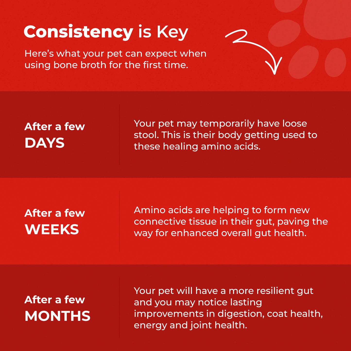 Bone Broth For Dogs & Cats - Misc image 21