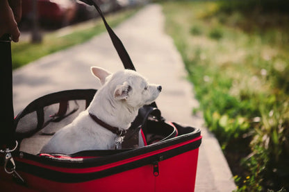 The Deluxe Cozy Pet Carrier - Accessories image 9