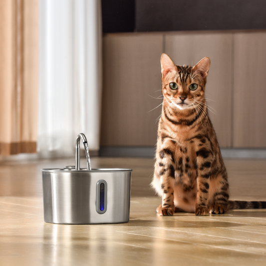 The KittySpout™ - 2.2L Fountain - Kitchen & Dining image 1