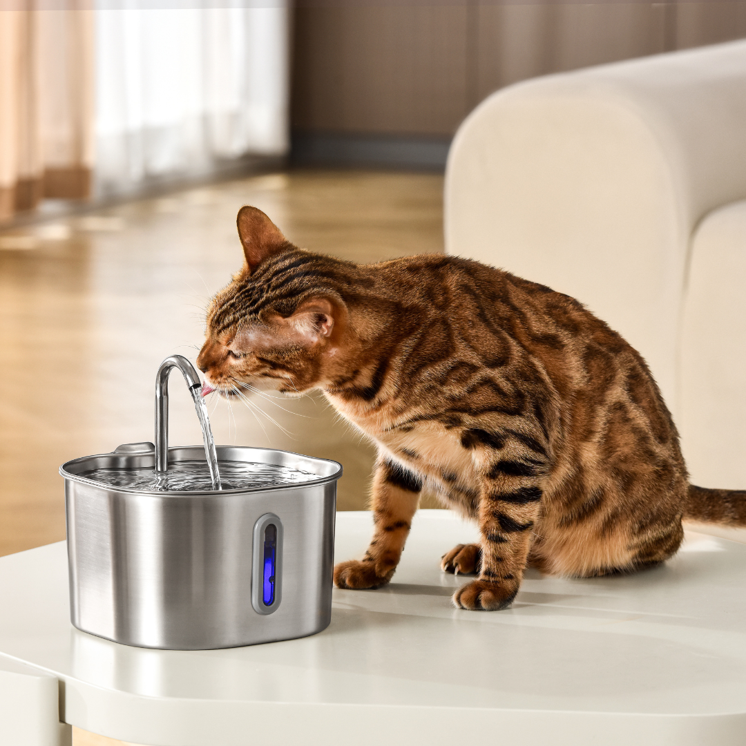 The KittySpout™ - 2.2L Fountain - Kitchen & Dining image 3