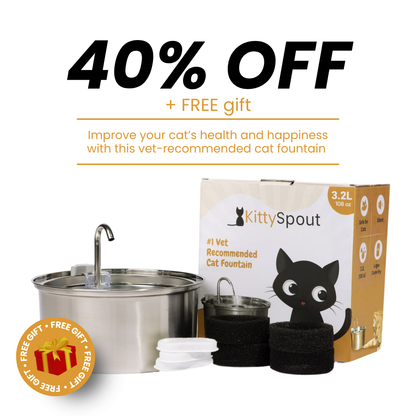 The KittySpout™ - Health & Happiness Cat Kit - Kitchen & Dining image 2