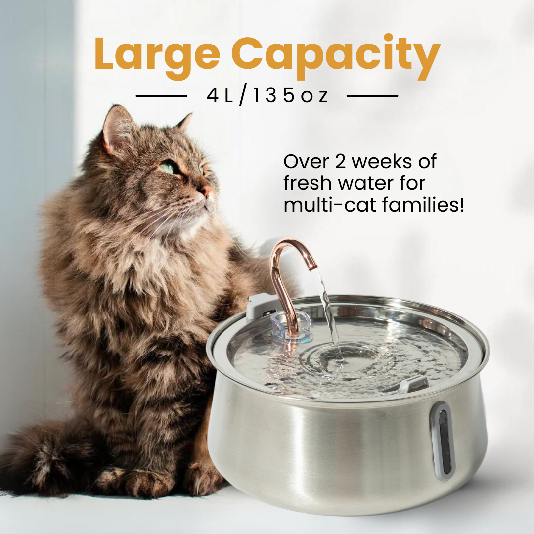 The KittySpout™ 2.0 - Health & Happiness Cat Kit - Kitchen & Dining image 5