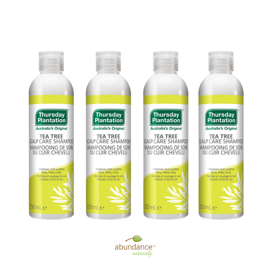 Tea Tree Scalp Care Shampoo 4 x 250mL Pack - Beauty image 1