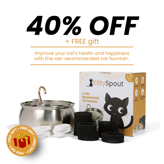 The KittySpout™ - Health & Happiness Cat Kit - Kitchen & Dining image 1