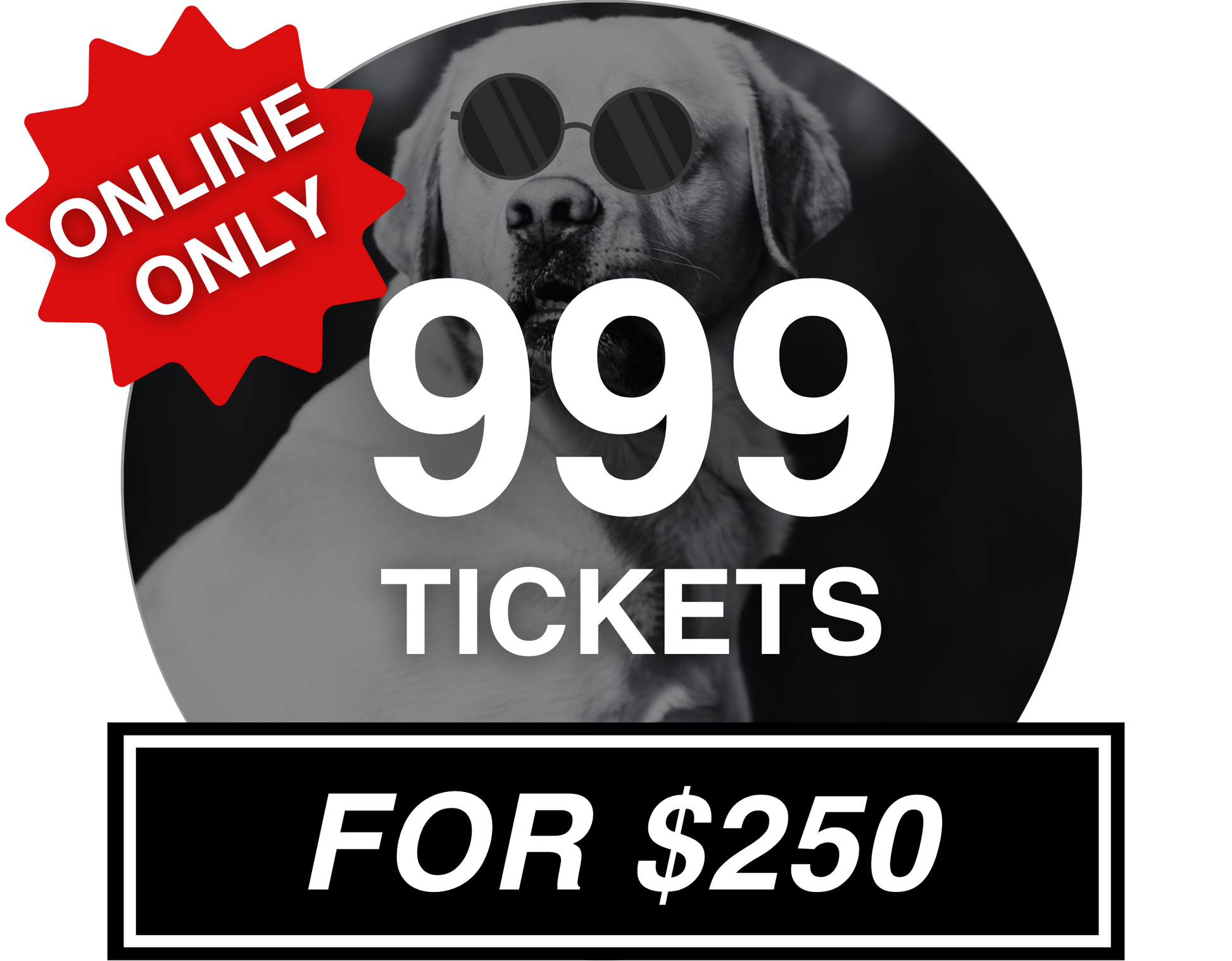 999 for $250 - Misc image 1