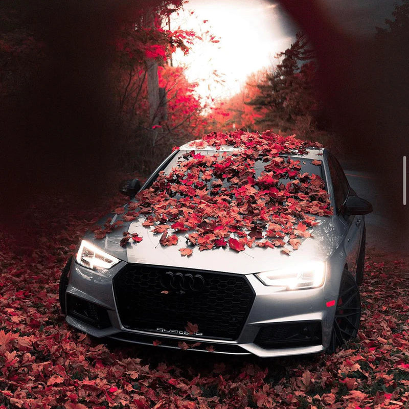 2017-2019 Audi RS4 Honeycomb Grille | B9 Audi A4/S4 - Kitchen & Dining image 7