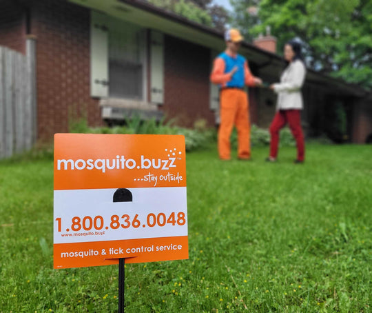 2025 mosquito.buzz Pro-rated Renewal - Misc image 1