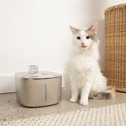 The KittySpout™ - Wireless Fountain - Kitchen & Dining image 5