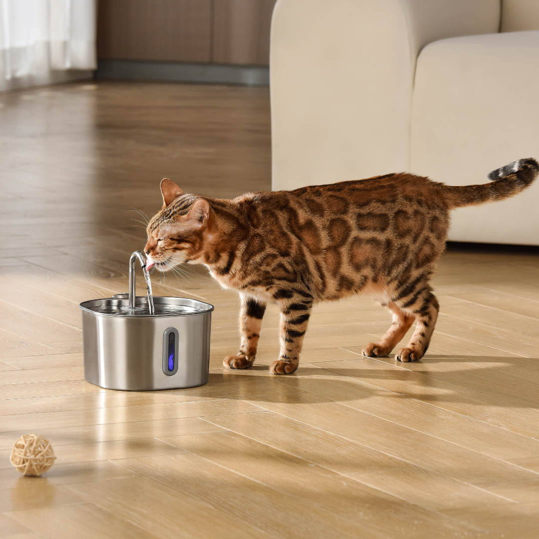 The KittySpout™ - 2.2L Fountain - Kitchen & Dining image 2