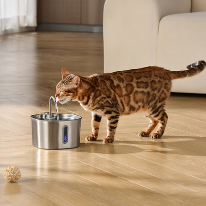 The KittySpout™ - 2.2L Fountain - Kitchen & Dining image 2