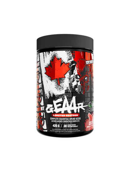 True North Bundle - Misc image 3