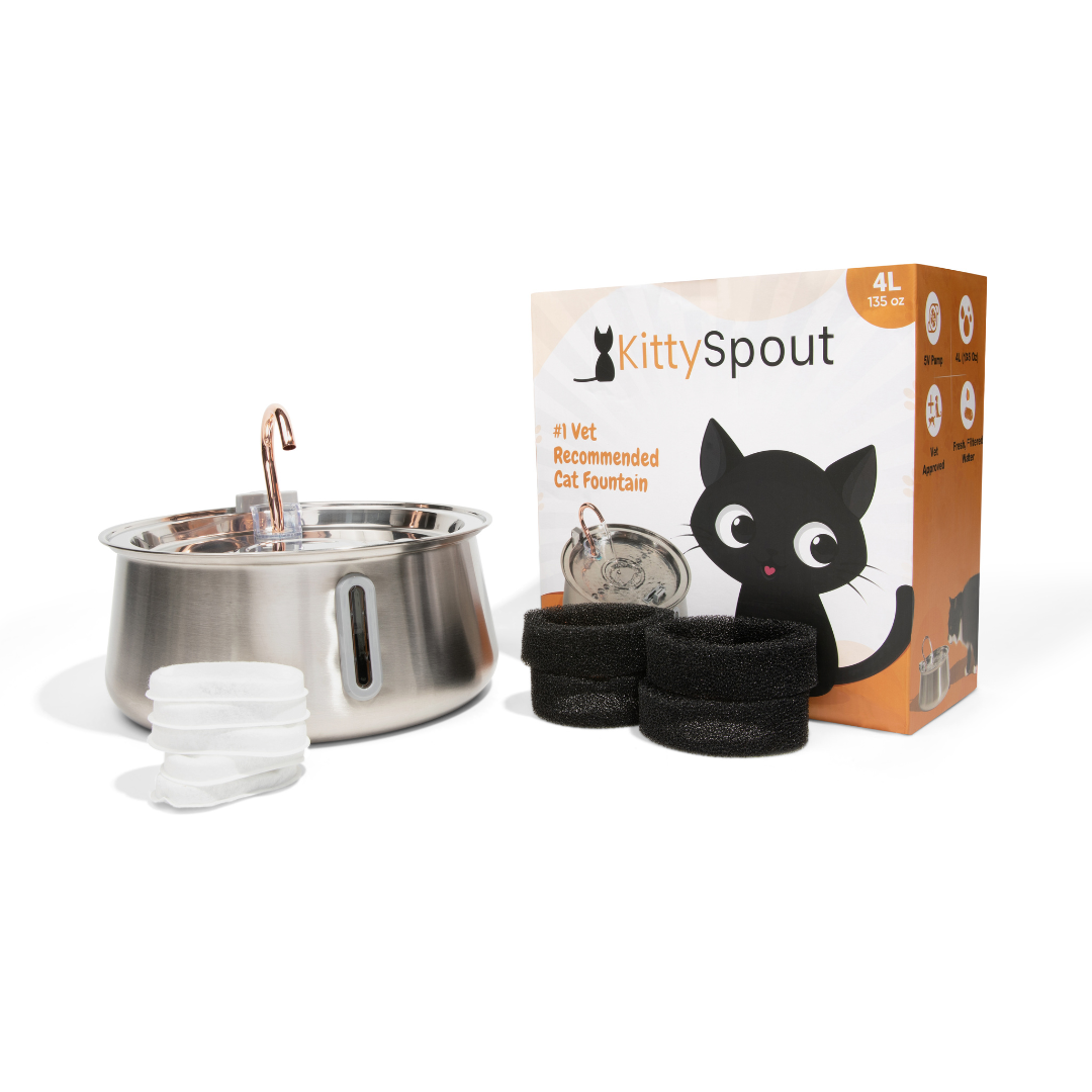 The KittySpout™ 2.0 - Health & Happiness Cat Kit - Kitchen & Dining image 10