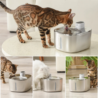 The KittySpout™ - Wireless Fountain - Kitchen & Dining image 4