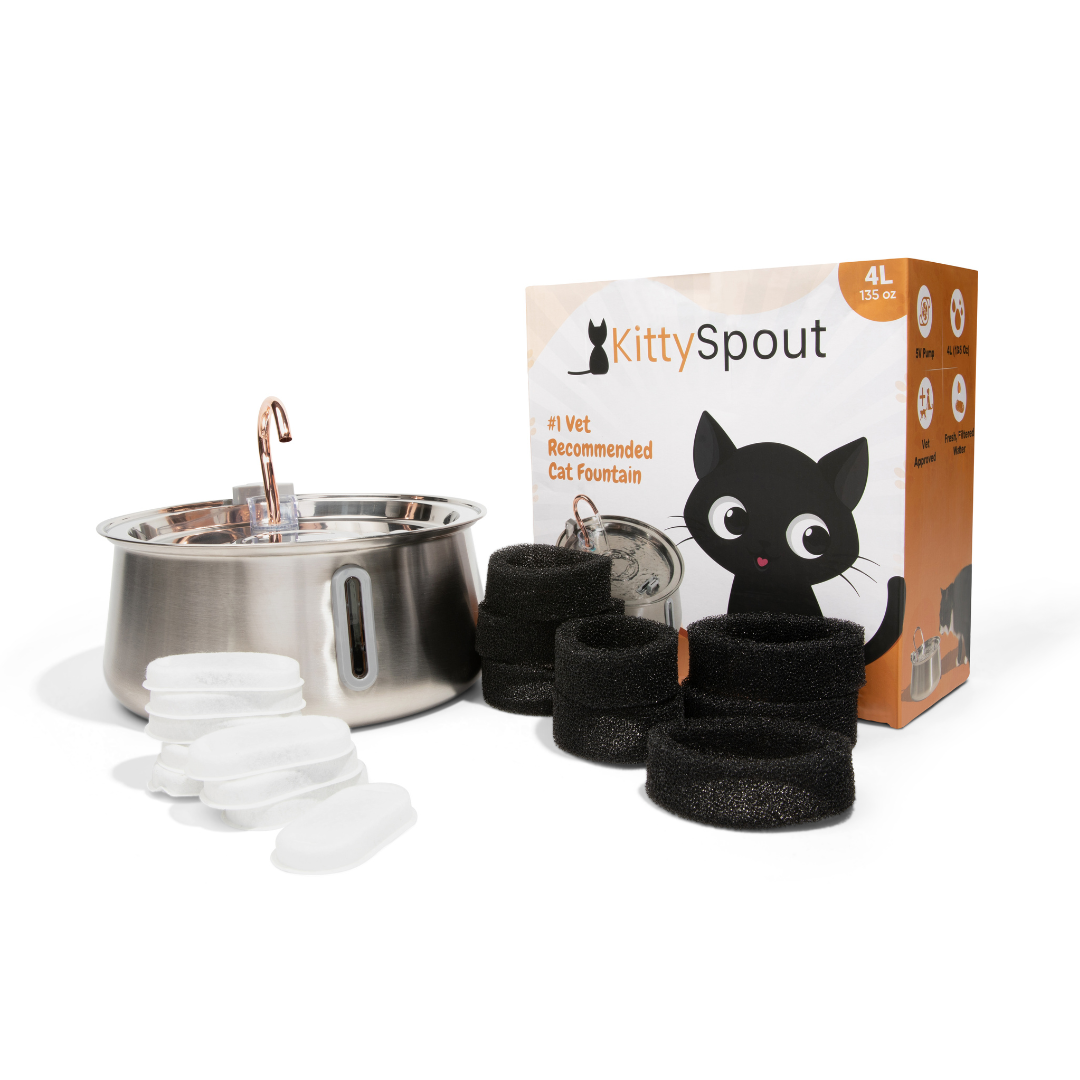 The KittySpout™ 2.0 - Health & Happiness Cat Kit - Kitchen & Dining image 11