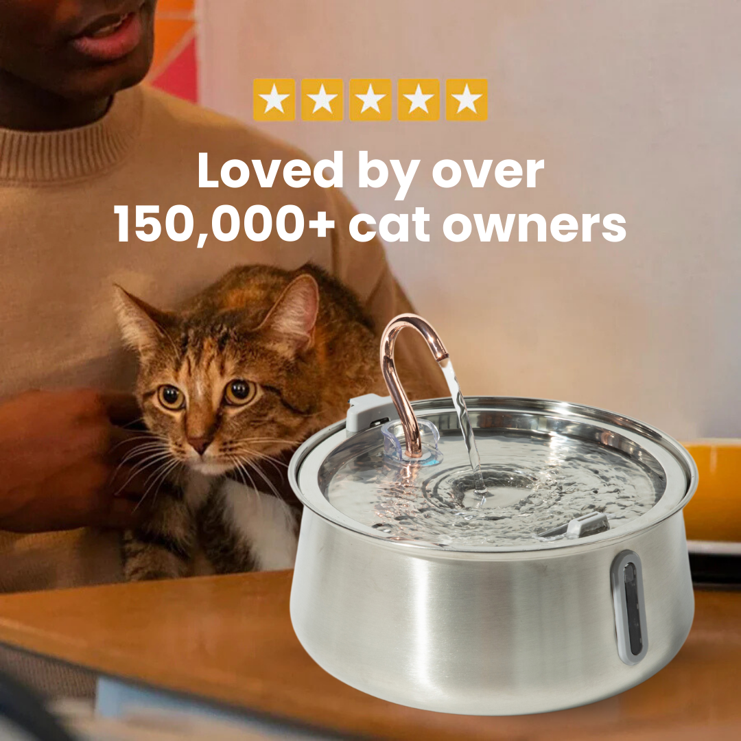 The KittySpout™ 2.0 - Health & Happiness Cat Kit - Kitchen & Dining image 7
