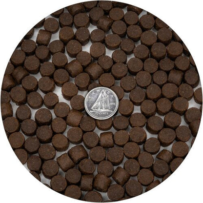 32/32 - Misc image 2