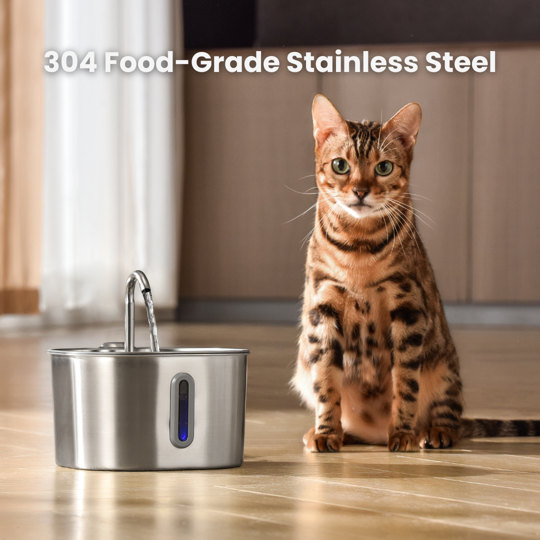 The KittySpout™ - 2.2L Fountain - Kitchen & Dining image 5
