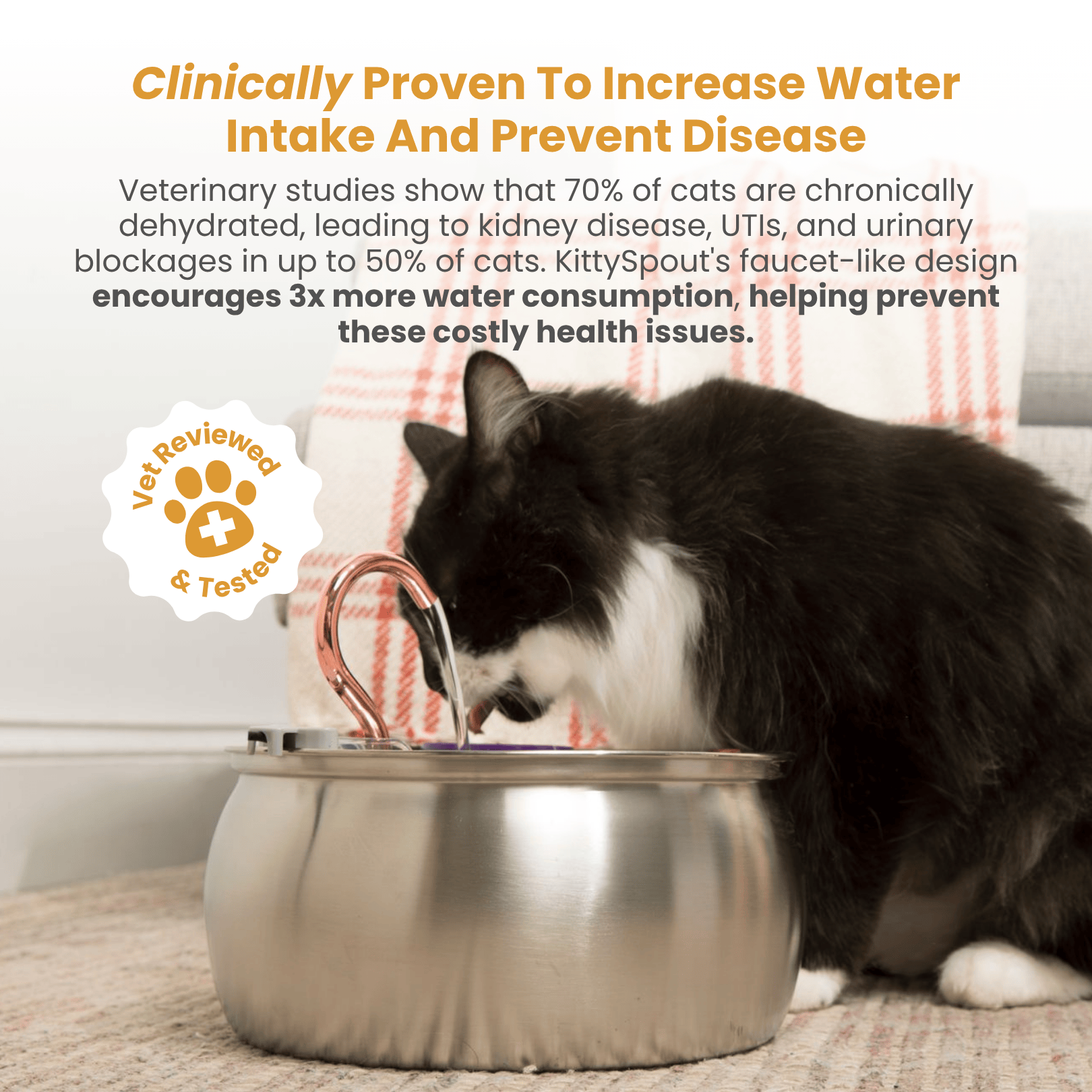 The KittySpout™ - Health & Happiness Cat Kit - Kitchen & Dining image 3
