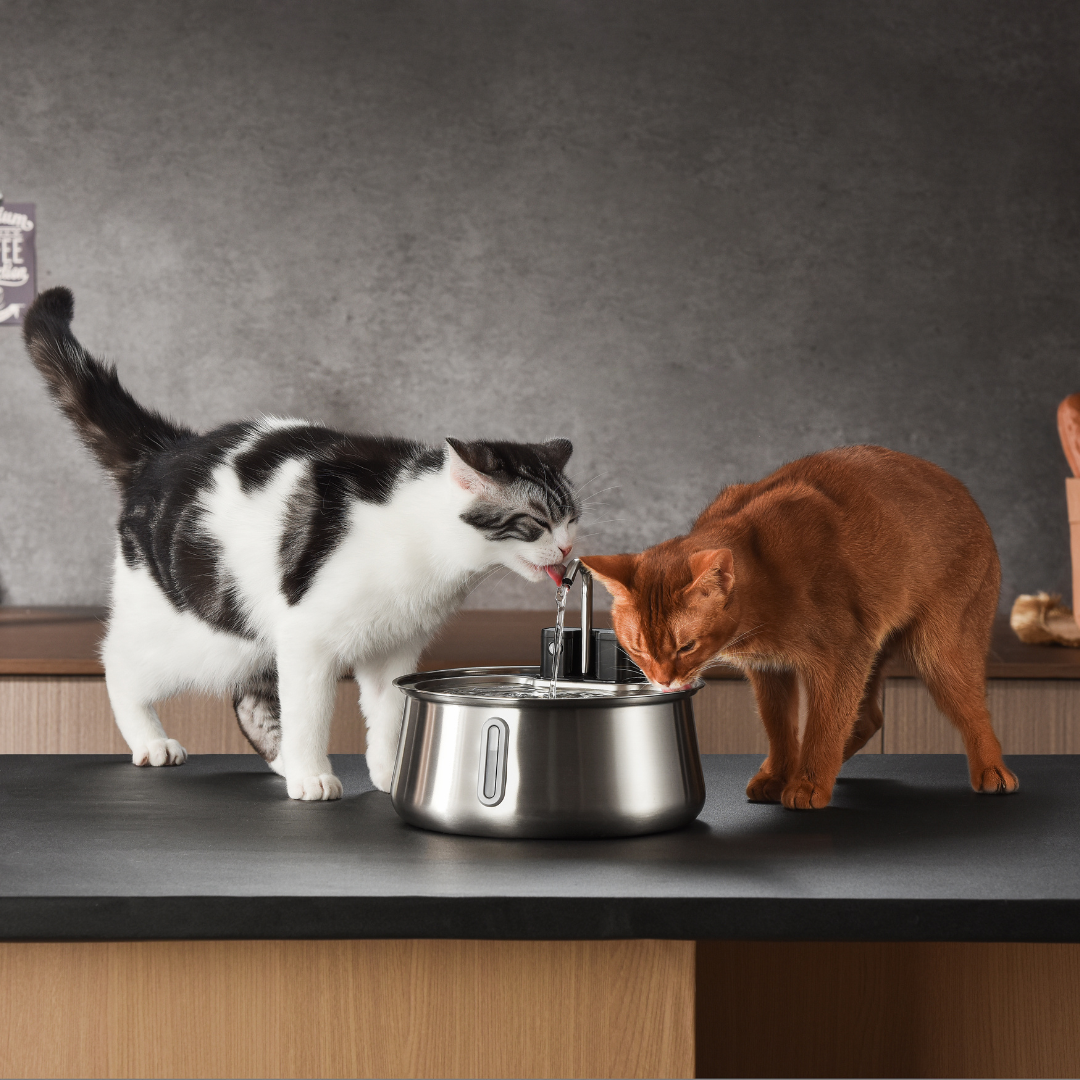 The KittySpout™ - Wireless Fountain 2.0 - Misc image 2