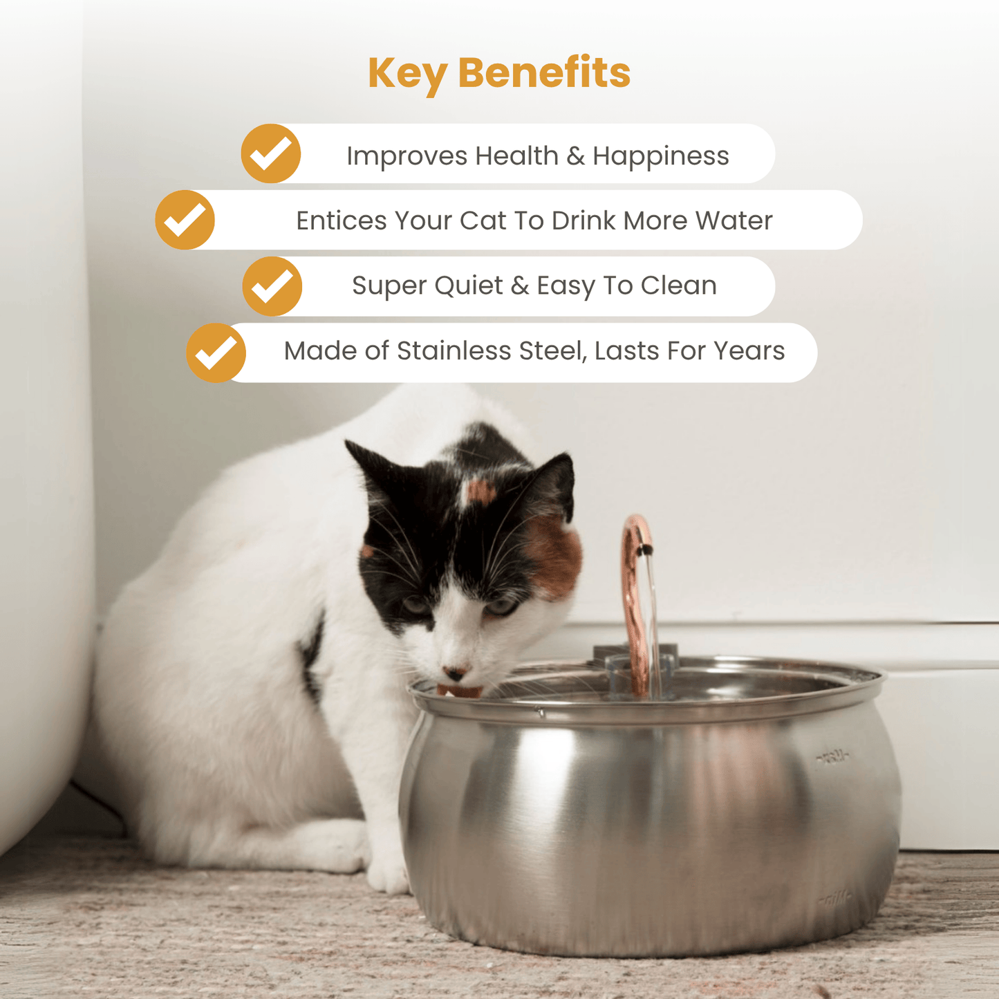 The KittySpout™ - Health & Happiness Cat Kit - Kitchen & Dining image 5