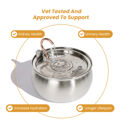 The KittySpout™ - Health & Happiness Cat Kit - Kitchen & Dining image 6