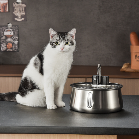 The KittySpout™ - Wireless Fountain 2.0 - Misc image 1