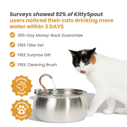 The KittySpout™ - Health & Happiness Cat Kit - Kitchen & Dining image 8
