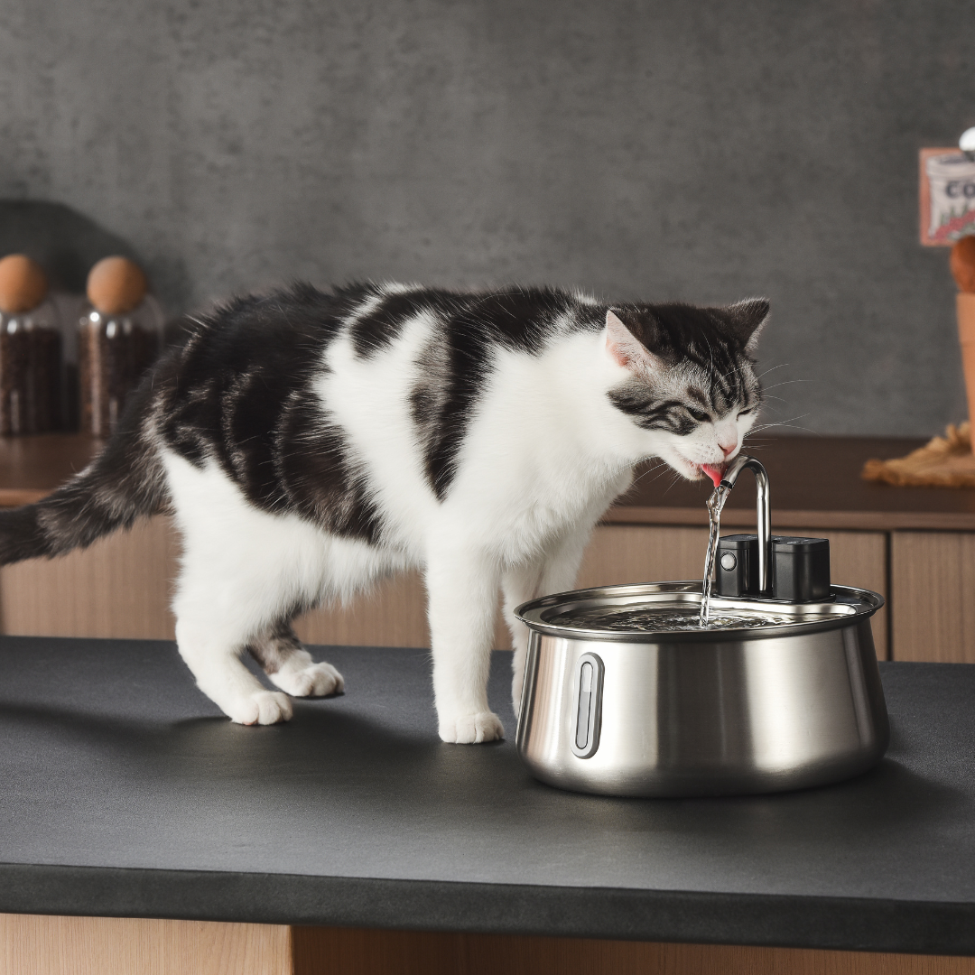 The KittySpout™ - Wireless Fountain 2.0 - Misc image 3