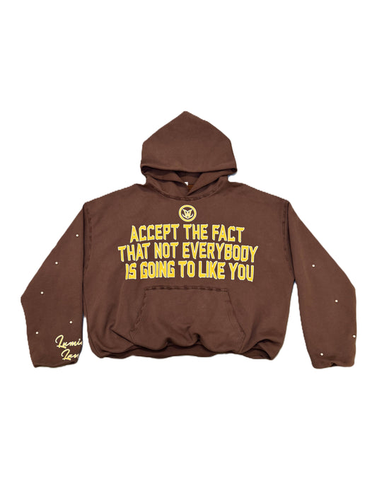 BROWN "ACCEPT THE FACT" HOODIE - Apparel image 1