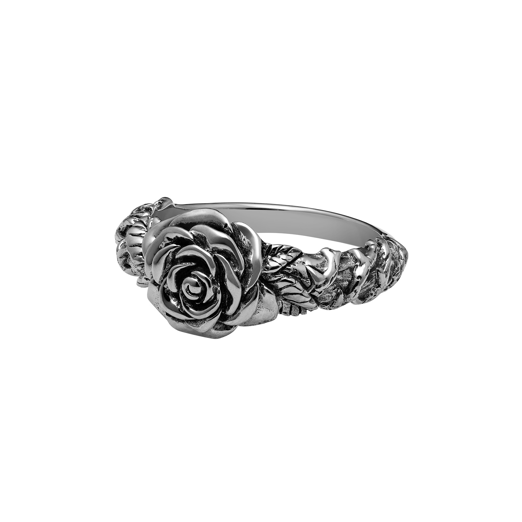 All Apologies - Misc image 1