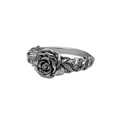 All Apologies - Misc image 1