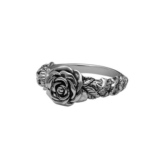 All Apologies - Misc image 1