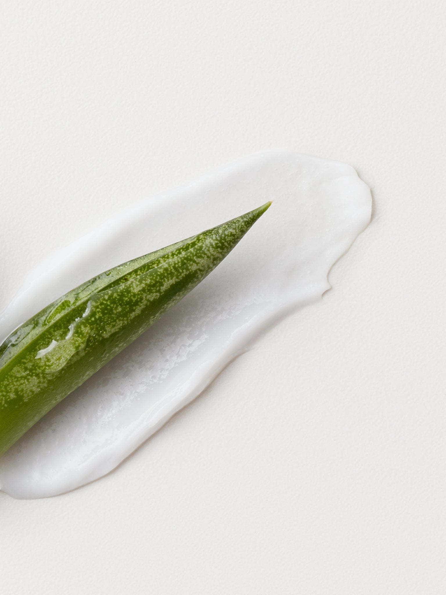 Pro Stylist Kenidia's Faves - Misc image 4