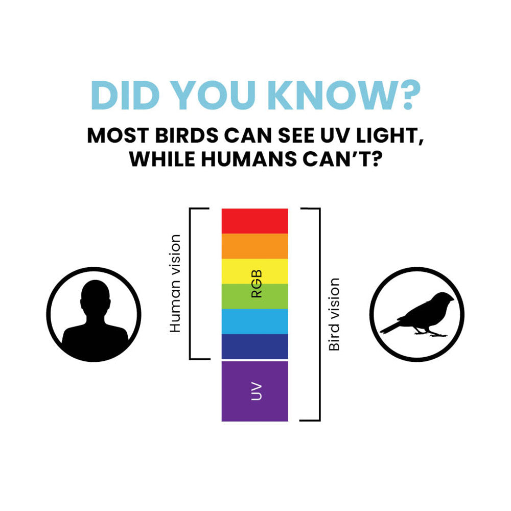 Bird Divert™ UV Residential, 2" x 150ft - Misc image 7